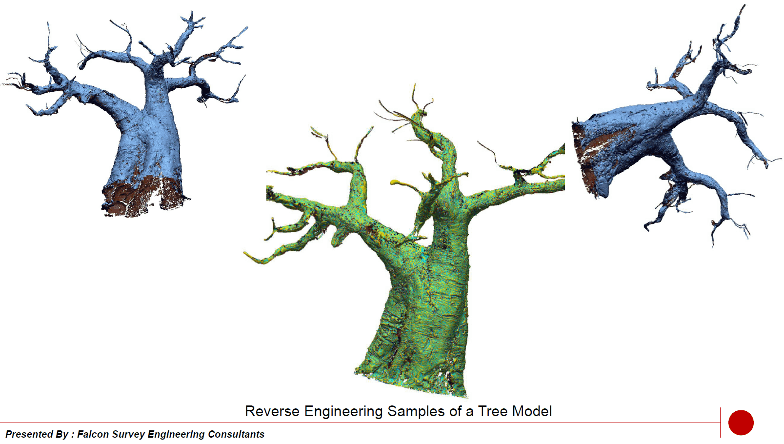 Reverse Engineering Model of Tree