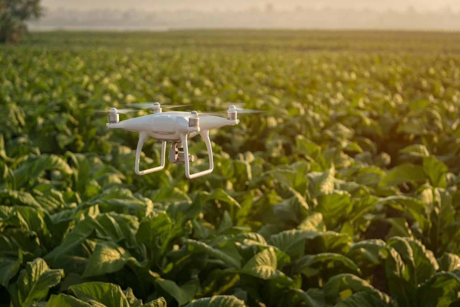 Falcon 3D Agriculture Monitoring Services